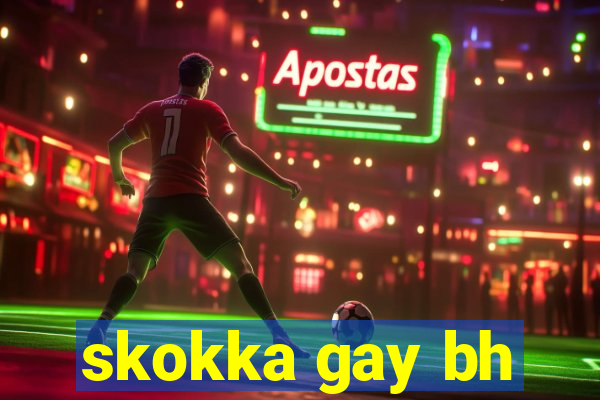 skokka gay bh